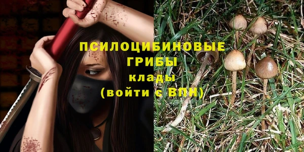 таблы Михайлов