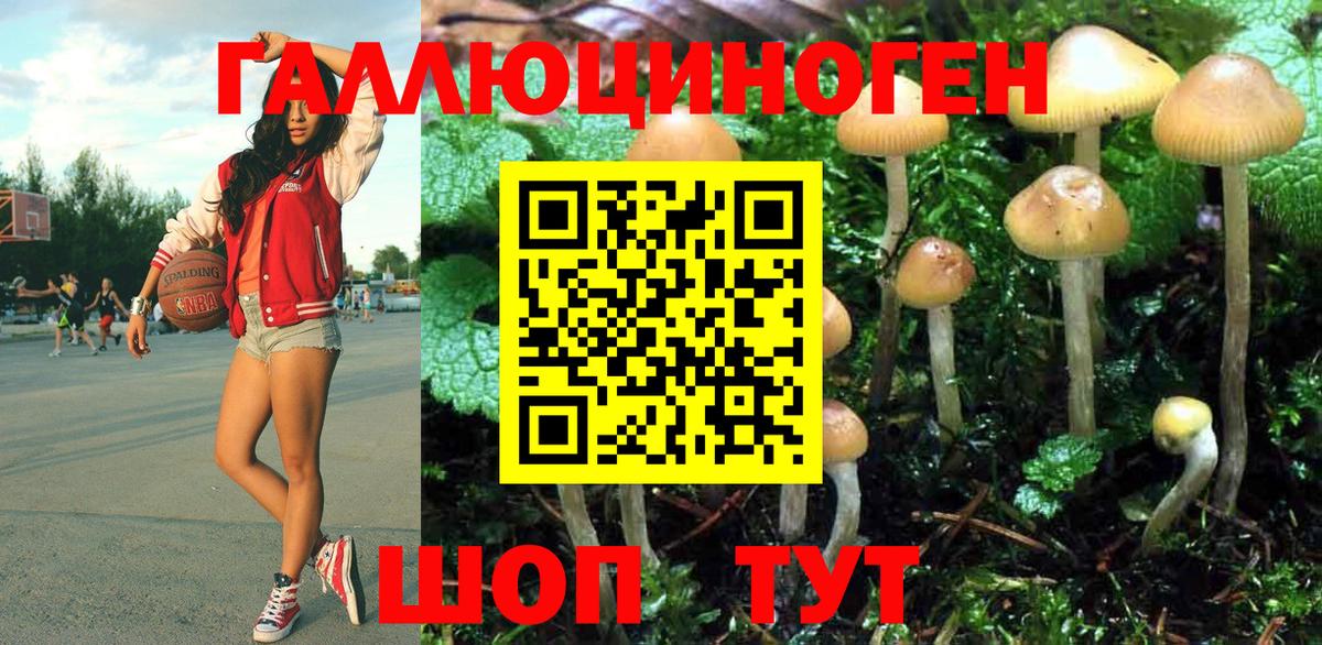 Псилоцибиновые грибы мицелий Красноперекопск